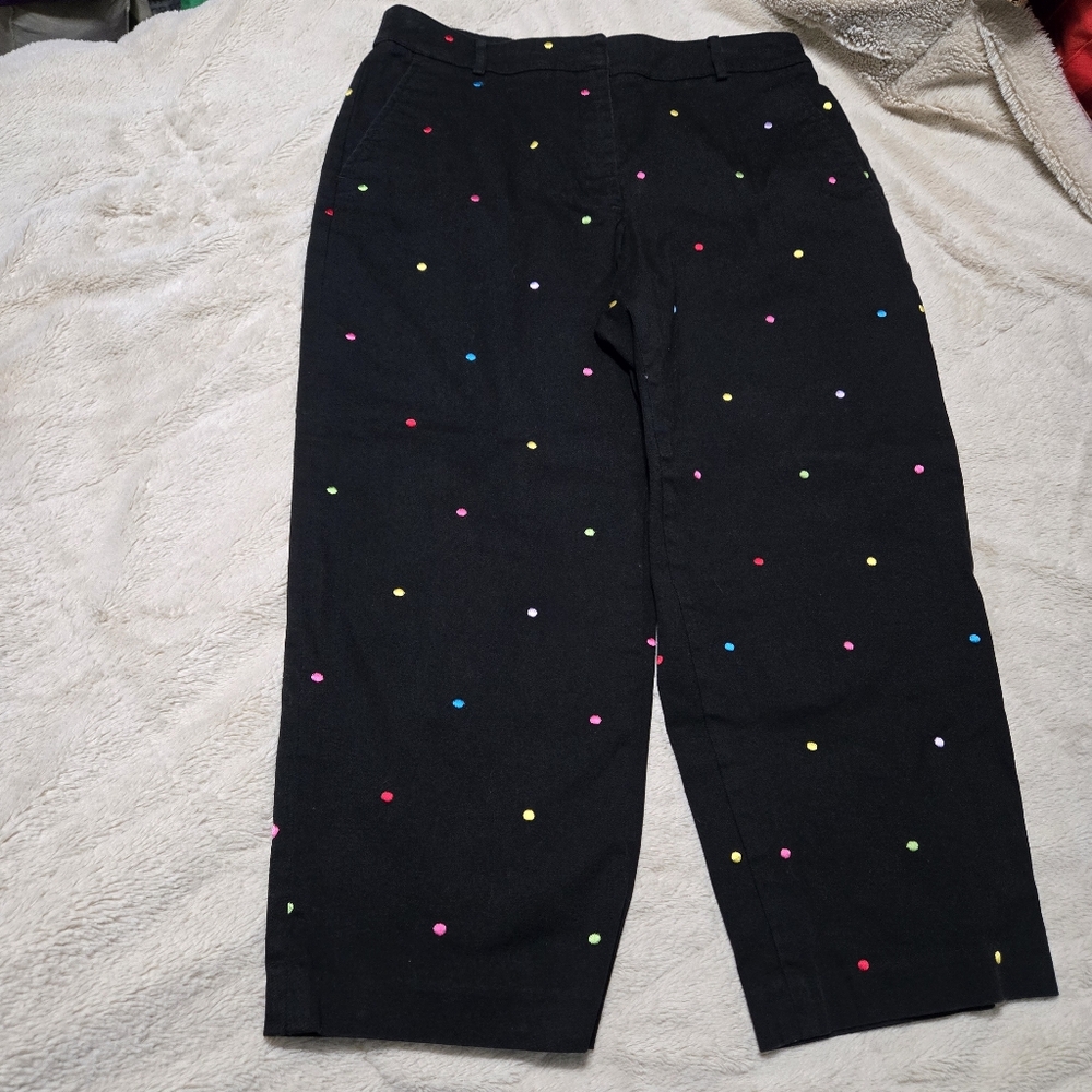 Briggs New York Rainbow Polka Dot Capri Pants Size 10